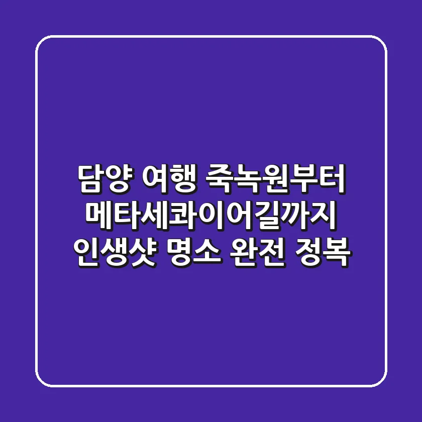 담양 여행, 죽녹원부터 메타세콰이어길까지: 인생샷 명소 완전 정복!