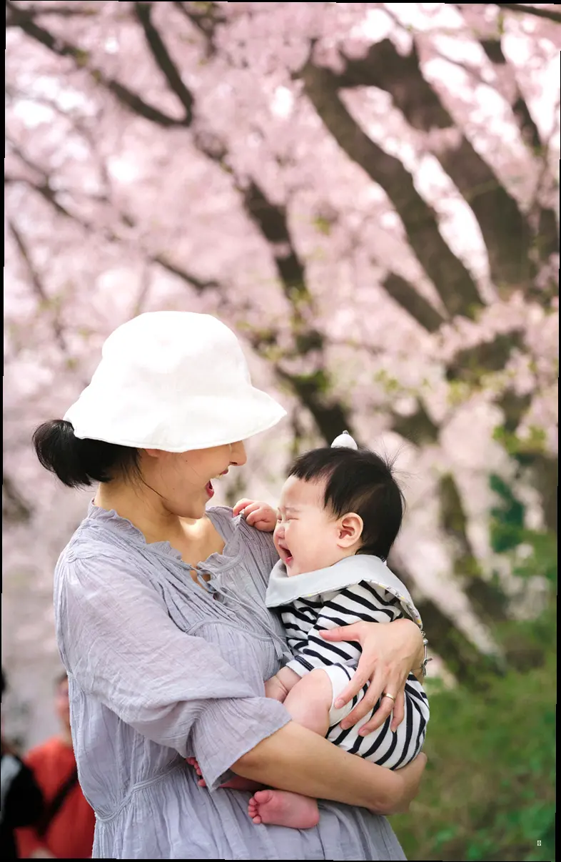 한눈에 보는 충청도 벚꽃 명소 Best 7 🌸