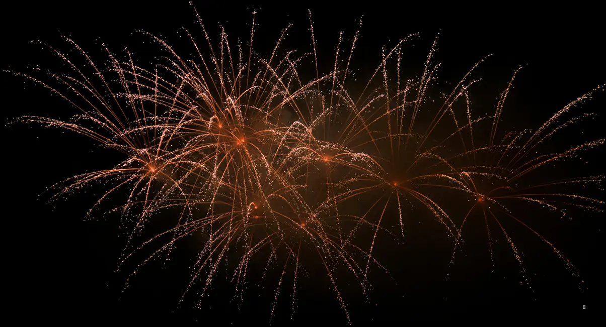 ✨ 놓치면 후회! 세종낙화축제 주요 행사 완벽 가이드 ✨