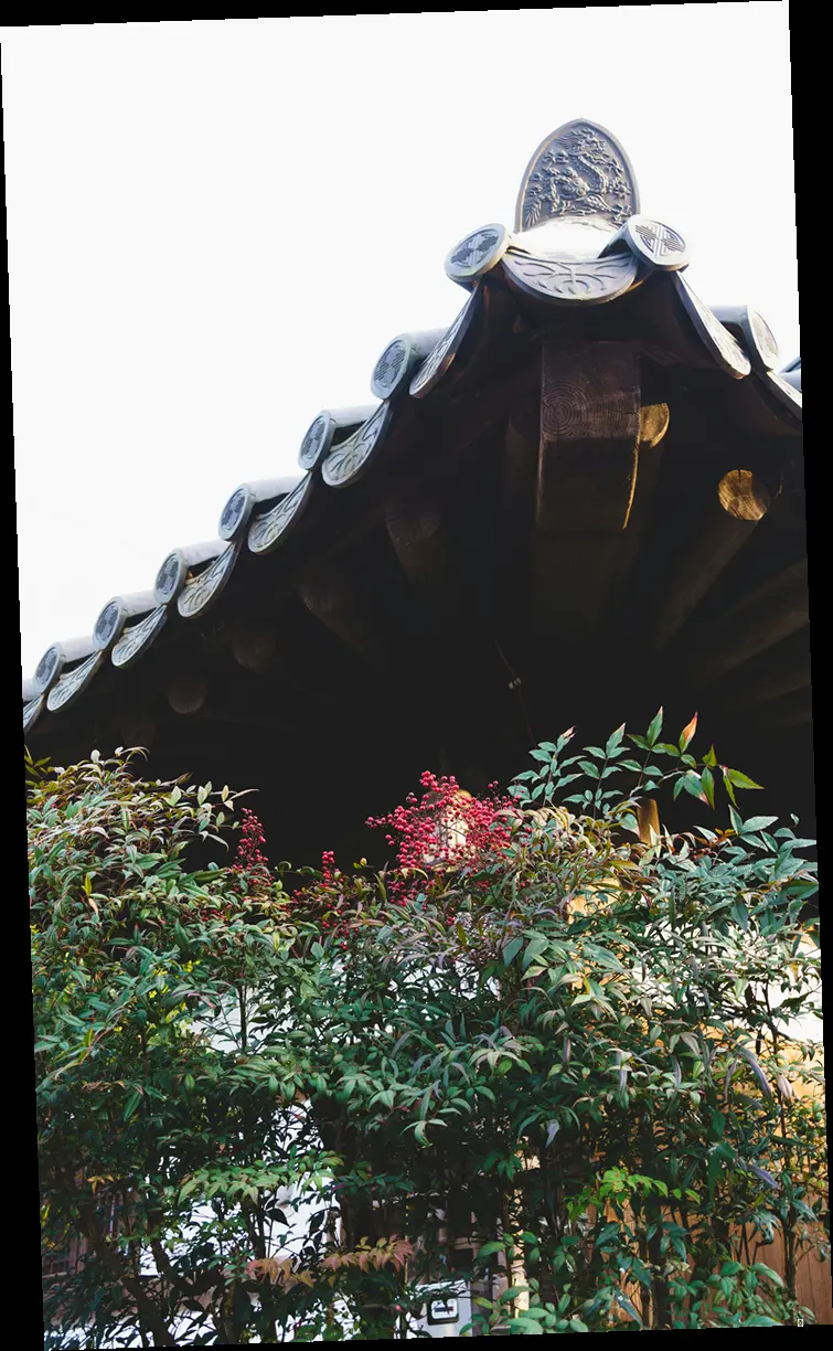 전주 여행, 어디서 묵어야 할까요?
