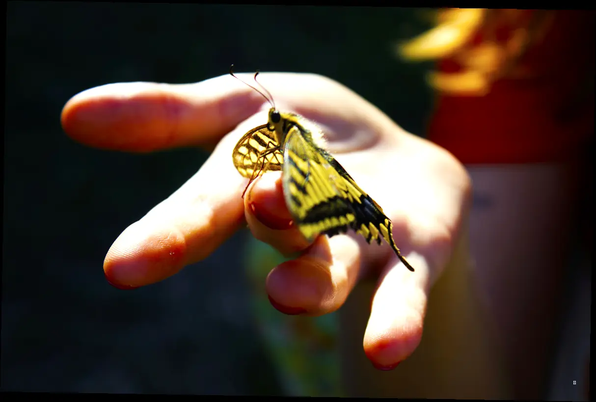 나비처럼 팔랑팔랑, 체험 프로그램 즐기기! 🦋🌷