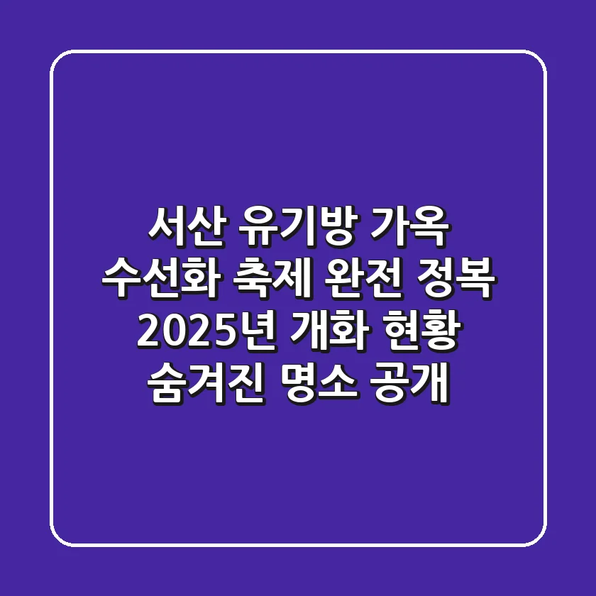서산 유기방 가옥 수선화 축제 완전 정복! 2025년 개화 현황 & 숨겨진 명소 공개
