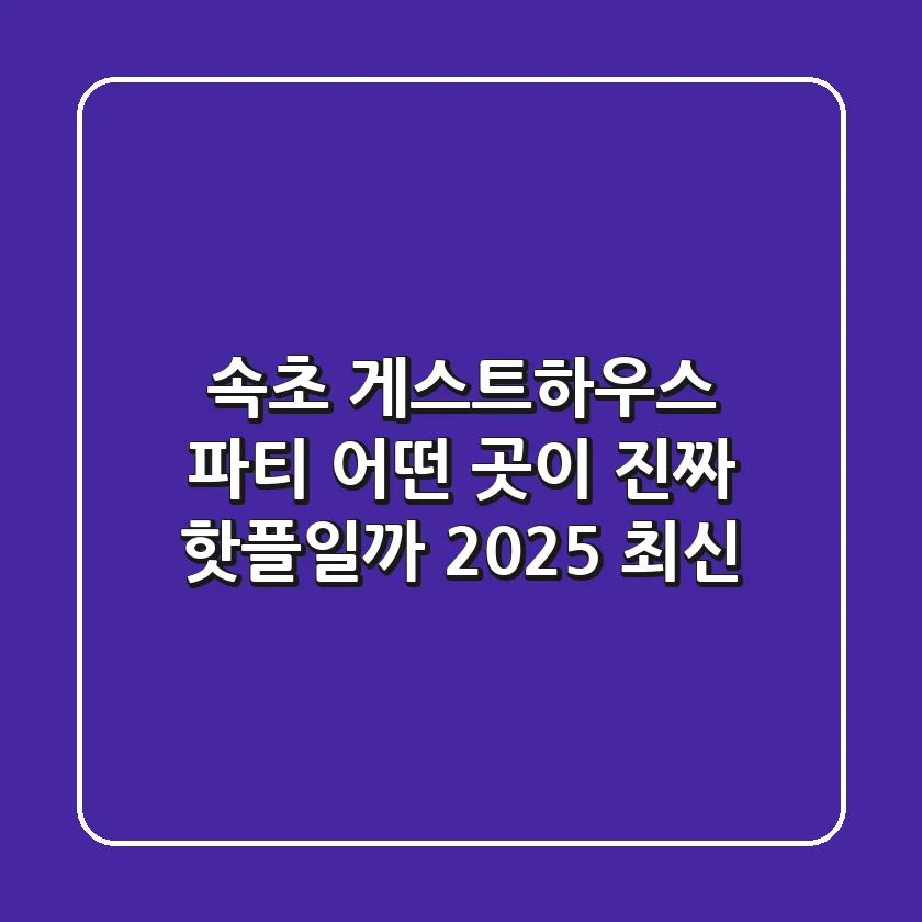 속초 게스트하우스 파티, 어떤 곳이 진짜 '핫플'일까? (2025 최신)