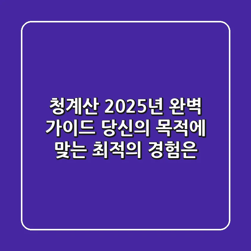 청계산 2025년 완벽 가이드: 당신의 목적에 맞는 최적의 경험은?