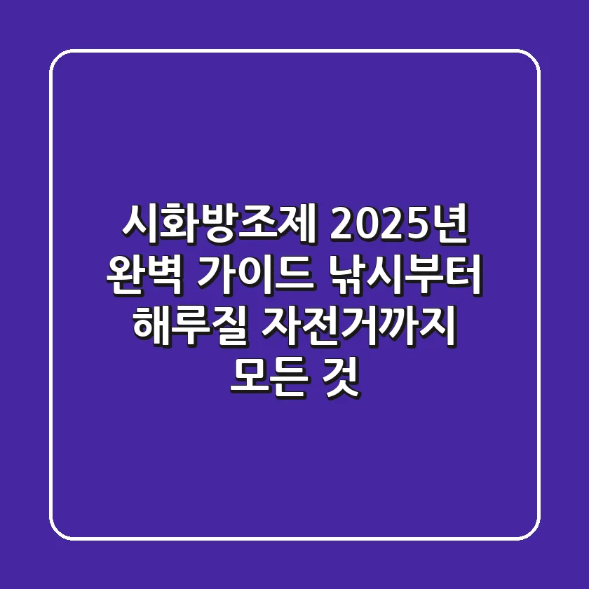 시화방조제 2025년 완벽 가이드: 낚시부터 해루질, 자전거까지 모든 것!