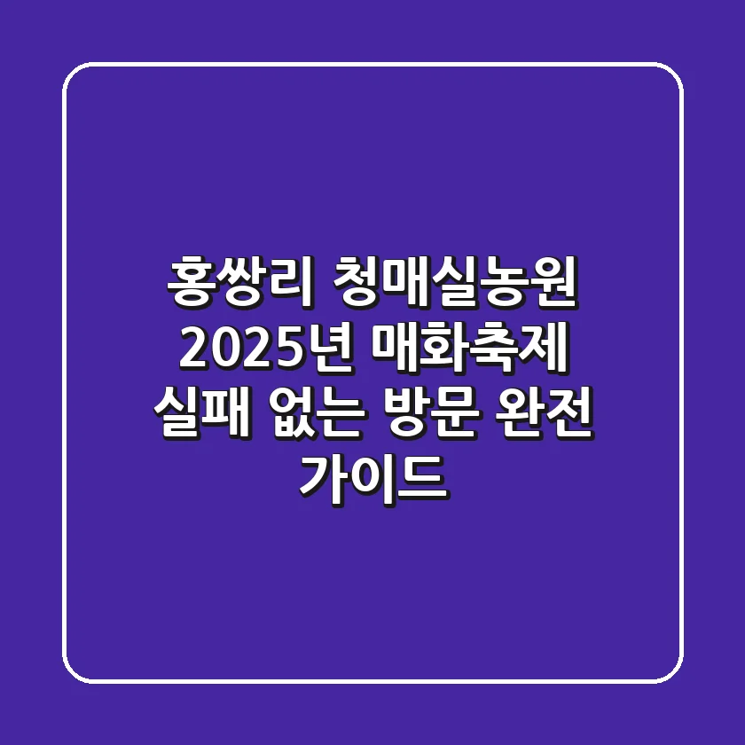 홍쌍리 청매실농원 2025년 매화축제: 실패 없는 방문 완전 가이드