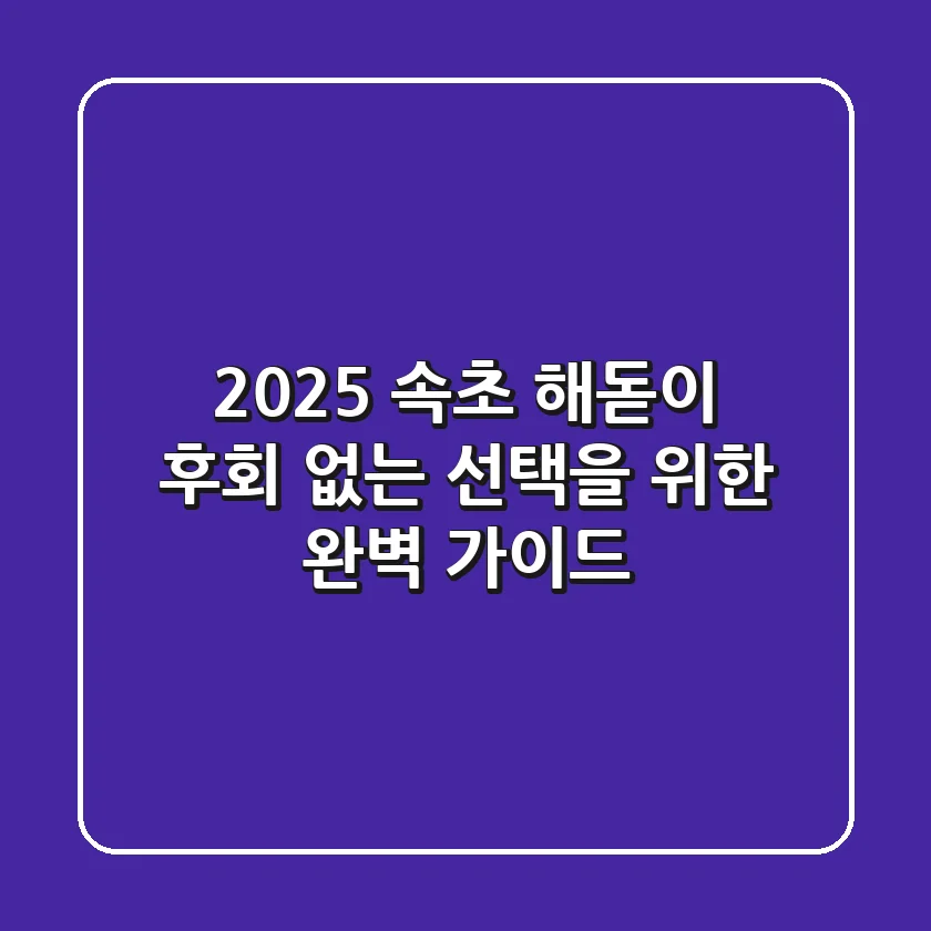 2025 속초 해돋이, 후회 없는 선택을 위한 완벽 가이드!