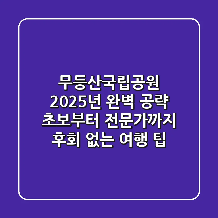 무등산국립공원 2025년 완벽 공략: 초보부터 전문가까지 후회 없는 여행 팁