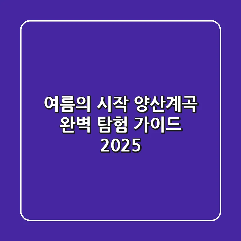 여름의 시작, 양산계곡 완벽 탐험 가이드 2025