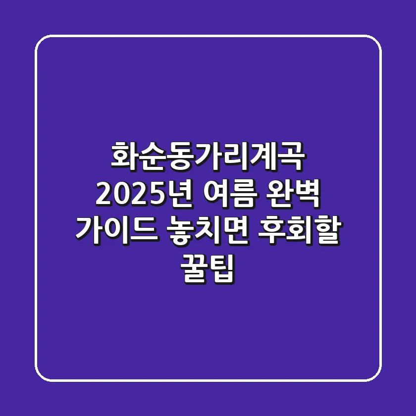 화순동가리계곡, 2025년 여름 완벽 가이드! 놓치면 후회할 꿀팁