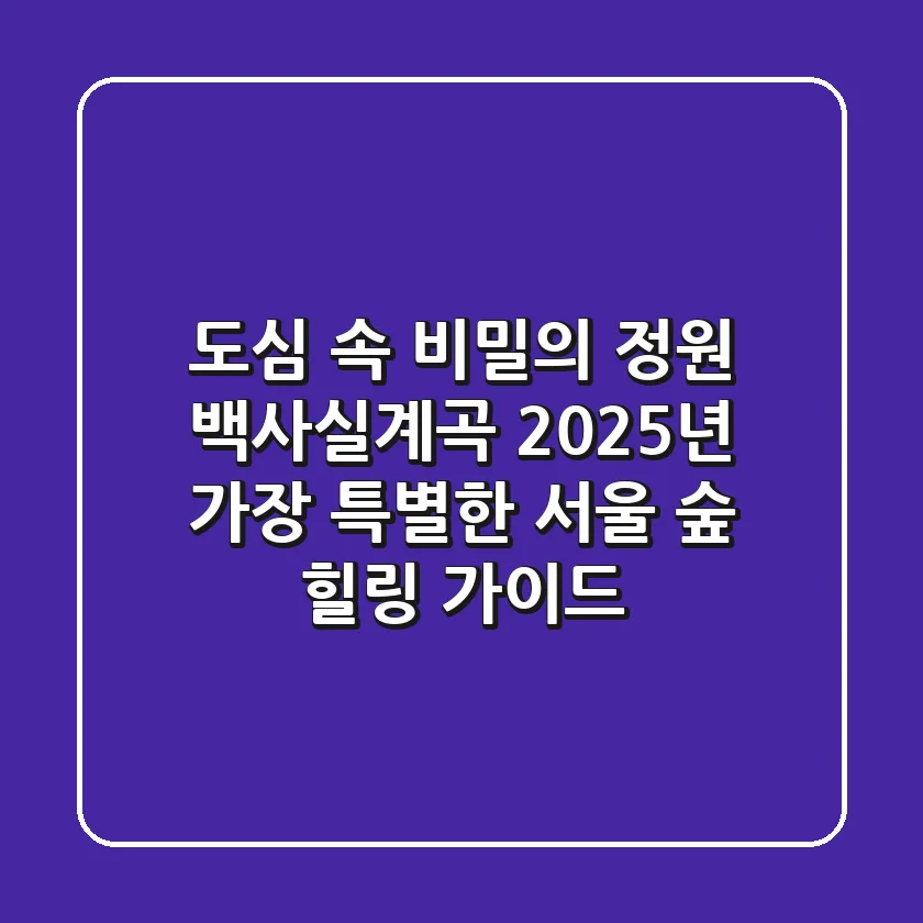 도심 속 비밀의 정원, 백사실계곡: 2025년 가장 특별한 서울 숲 힐링 가이드