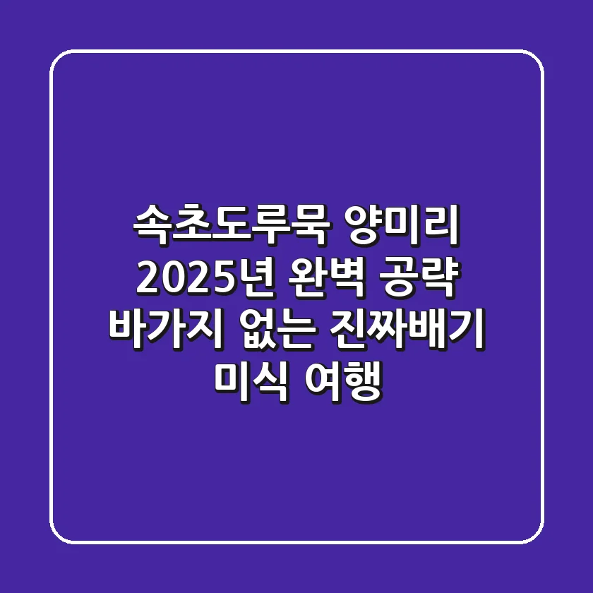 속초도루묵 양미리, 2025년 완벽 공략: 바가지 없는 진짜배기 미식 여행