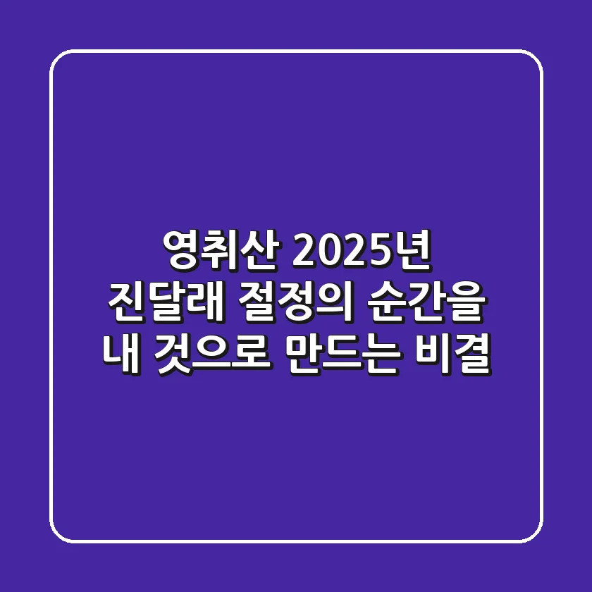 영취산, 2025년 진달래 절정의 순간을 내 것으로 만드는 비결