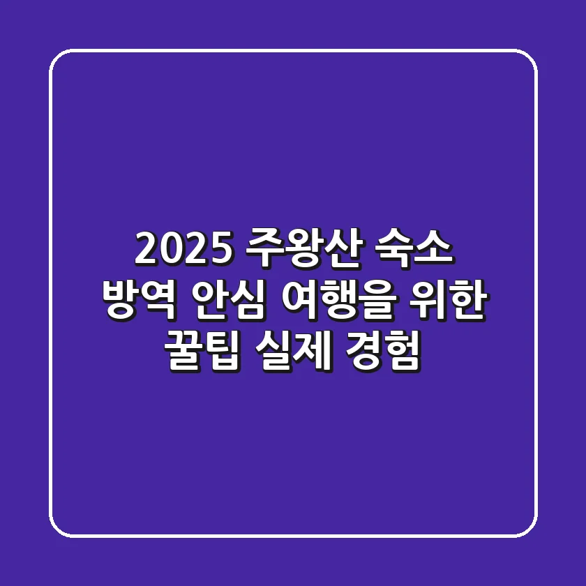 2025 주왕산 숙소 방역, 안심 여행을 위한 꿀팁 (실제 경험)