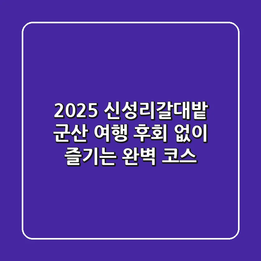 2025 신성리갈대밭 군산 여행, 후회 없이 즐기는 완벽 코스