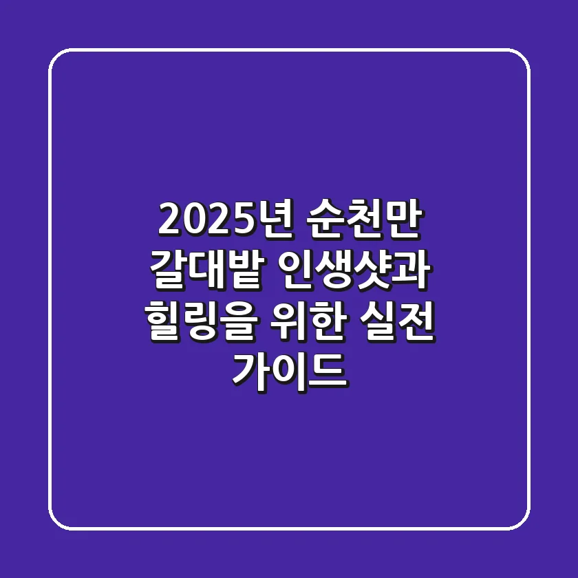 2025년 순천만 갈대밭: 인생샷과 힐링을 위한 실전 가이드