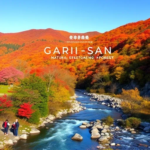 계곡 물놀이부터 숲캉스까지! 가리산의 숨겨진 힐링 포인트와 2025 트렌드