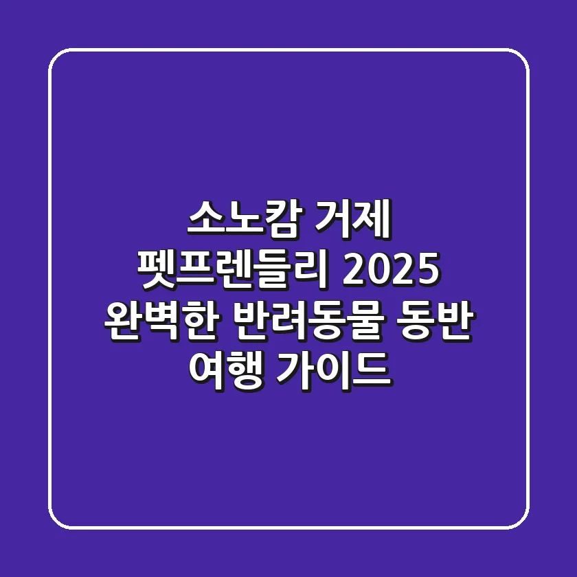 소노캄 거제 펫프렌들리 2025: 완벽한 반려동물 동반 여행 가이드