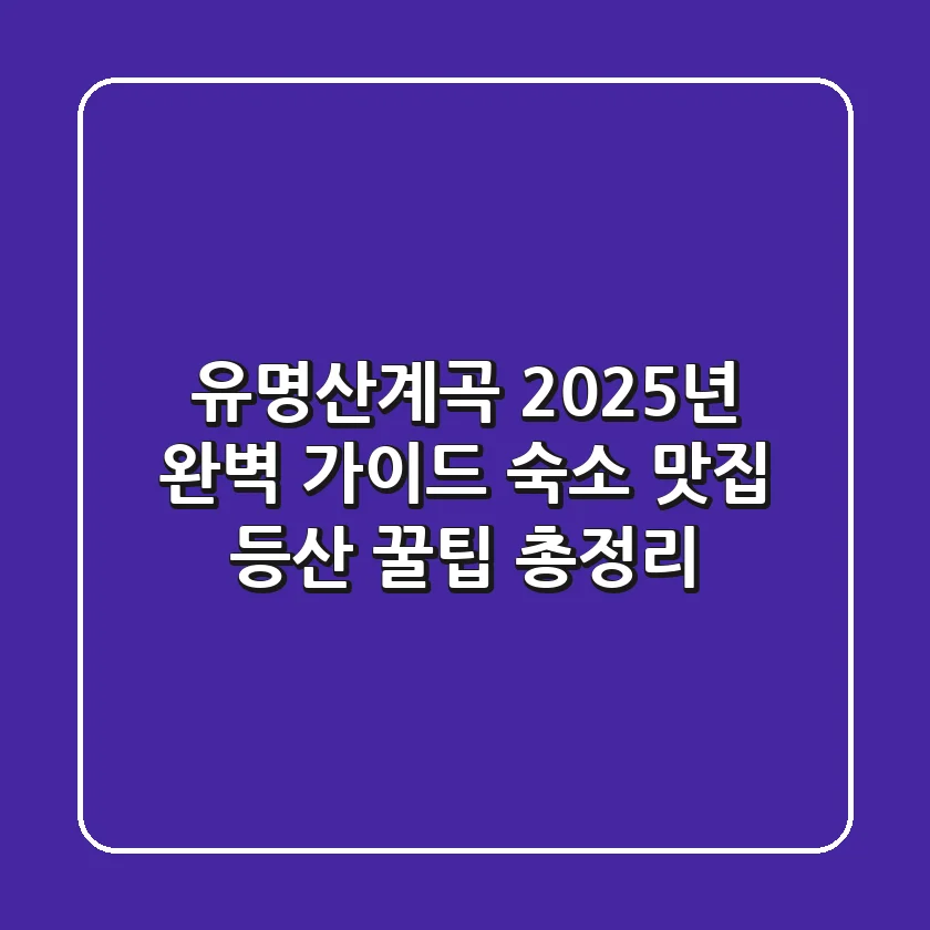 유명산계곡 2025년 완벽 가이드: 숙소, 맛집, 등산 꿀팁 총정리