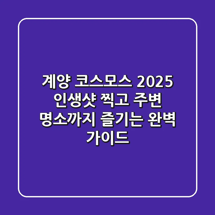 계양 코스모스 2025, 인생샷 찍고 주변 명소까지 즐기는 완벽 가이드