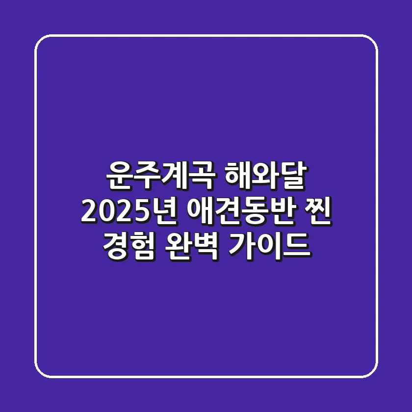 운주계곡 해와달, 2025년 애견동반 '찐' 경험 완벽 가이드