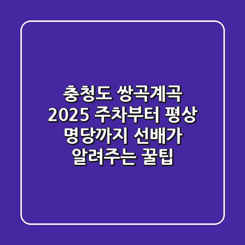 충청도 쌍곡계곡 2025: 주차부터 평상 명당까지, 선배가 알려주는 꿀팁