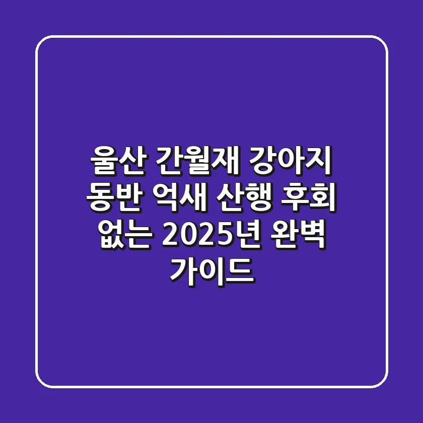 울산 간월재 강아지 동반 억새 산행, 후회 없는 2025년 완벽 가이드