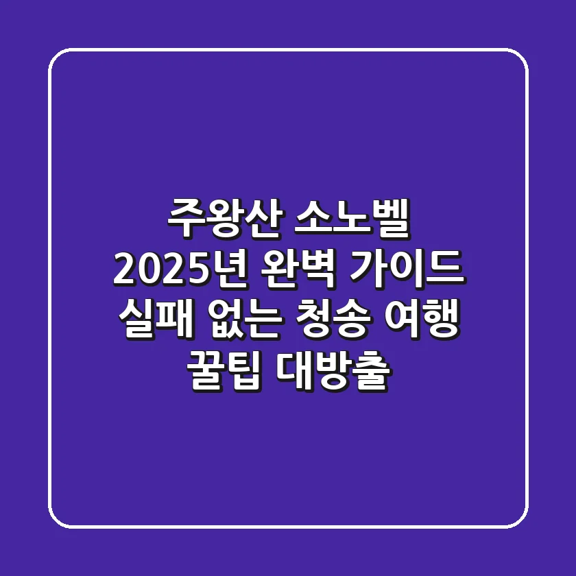 주왕산 소노벨 2025년 완벽 가이드: 실패 없는 청송 여행 꿀팁 대방출