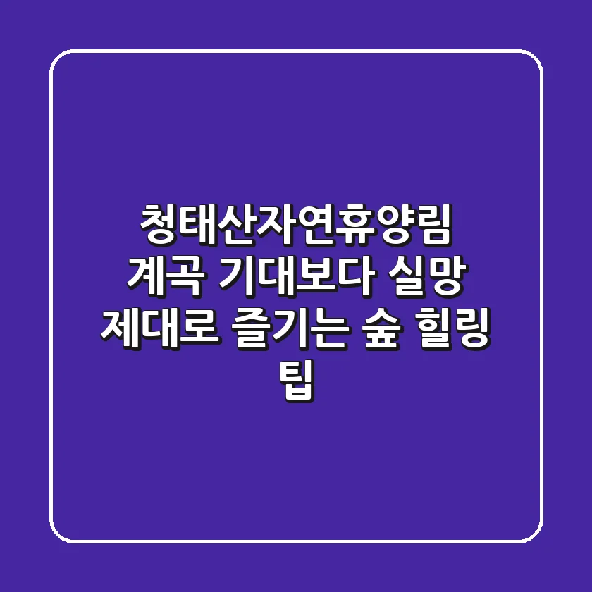 청태산자연휴양림 계곡, 기대보다 실망? 제대로 즐기는 숲 힐링 팁!