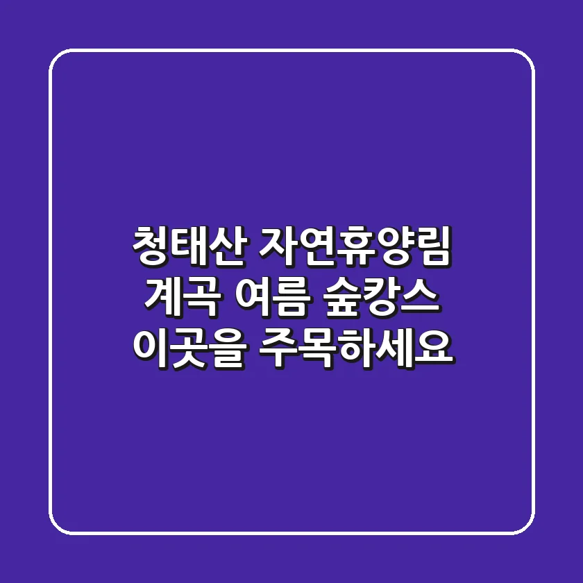 청태산 자연휴양림 계곡: 여름 숲캉스, 이곳을 주목하세요!