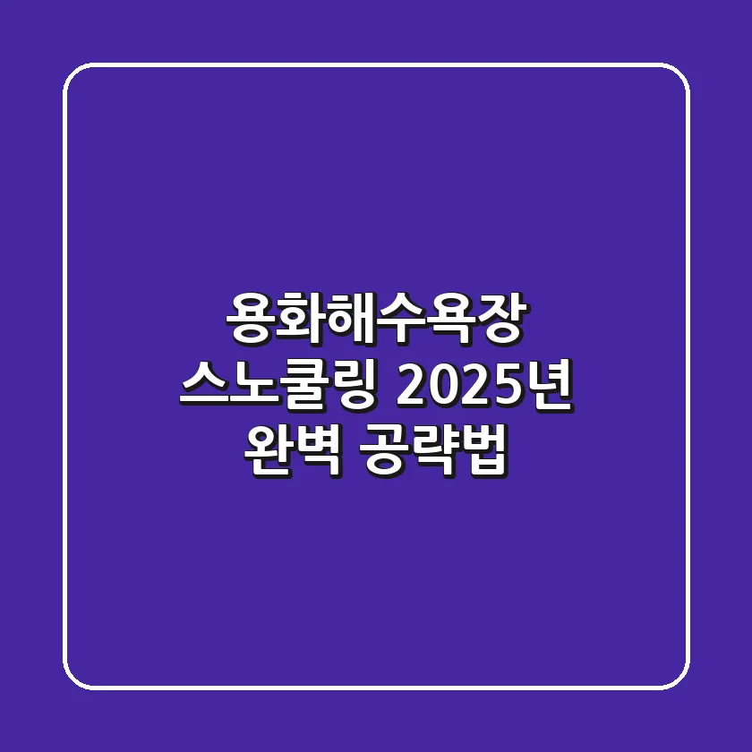 용화해수욕장 스노쿨링, 2025년 완벽 공략법