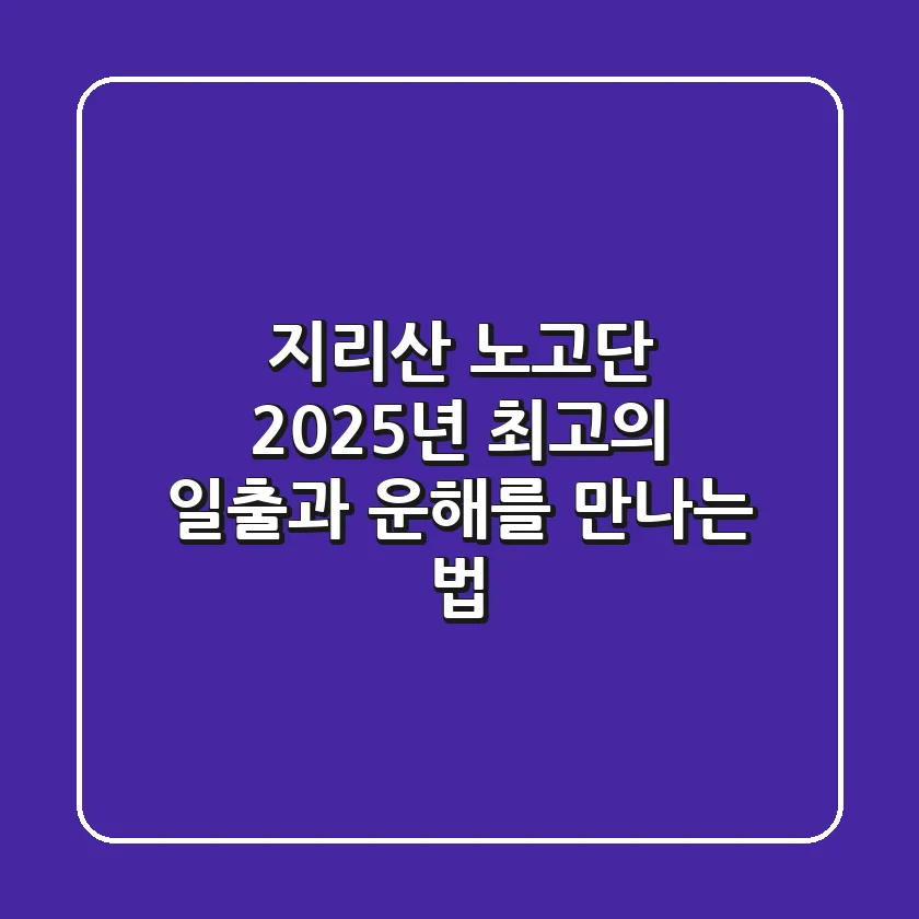 지리산 노고단: 2025년 최고의 일출과 운해를 만나는 법