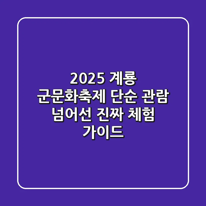 2025 계룡 군문화축제, 단순 관람 넘어선 '진짜' 체험 가이드