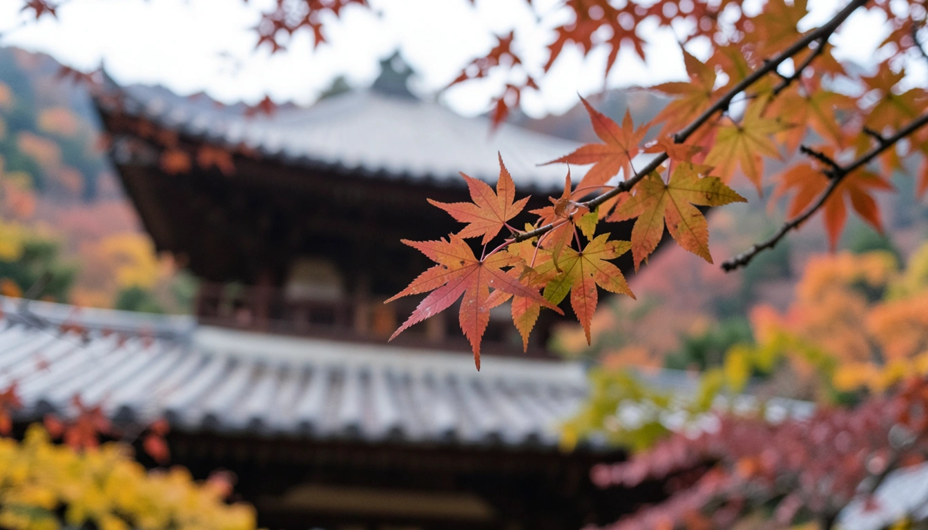 내장산 단풍 등산, 이것만은 꼭! 현실 조언 & 준비물